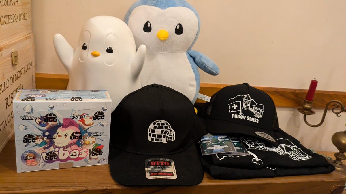 Pudgy Swiss Dinner 🐧 - Photo 6