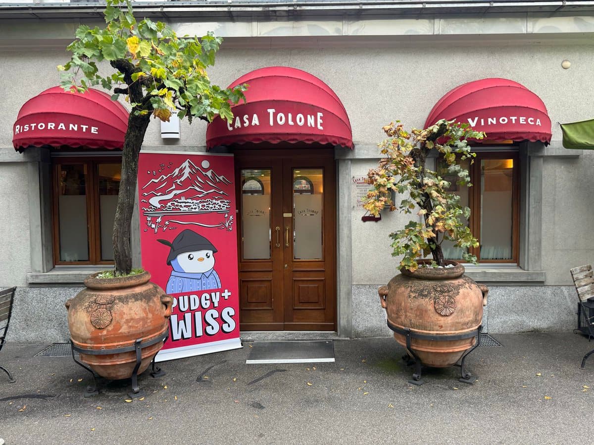 Pudgy Swiss Dinner 🐧 - Photo 7