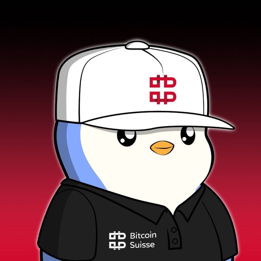 Pudgy Swiss Dinner 🐧 - Photo 17